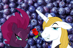 Size: 2064x1378 | Tagged: safe, derpibooru import, fizzlepop berrytwist, prince blueblood, tempest shadow, annoyed, berryblood, blueberry, female, flower, flower in mouth, food, frown, fruit, male, mouth hold, not amused face, opposites, pun, rose, rose in mouth, shipping, smiling, smug, straight, tempest shadow is not amused, unamused, word play