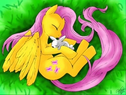 Size: 512x387 | Tagged: safe, artist:0pika-chan0, derpibooru import, fluttershy, pegasus, pony, rabbit, animal, curled up, duo, eyes closed, female, grass, lying down, mare, on side, sleeping, top down, wings