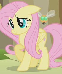 Size: 872x1042 | Tagged: safe, derpibooru import, screencap, fluttershy, parasprite, pegasus, pony, swarm of the century, cropped, eyelashes, raised hoof, smiling, solo