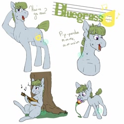 Size: 1024x1024 | Tagged: safe, artist:farewelldecency, derpibooru import, oc, oc only, oc:bluegrass, armpits, guitar, musical instrument, offspring, parent:big macintosh, parent:marble pie, parents:marblemac, reference sheet, stuttering