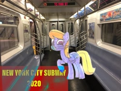 Size: 3264x2448 | Tagged: safe, artist:topsangtheman, derpibooru import, cloud kicker, pegasus, pony, coronavirus, covid-19, face mask, irl, looking at you, new york city, new york city subway, photo, ponies in real life