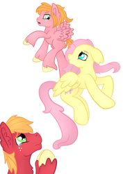 Size: 2059x2912 | Tagged: safe, artist:bewarethemusicman, derpibooru import, big macintosh, fluttershy, oc, oc:little darlin', pegasus, pony, crying, family, female, fluttermac, flying, flying lesson, liquid pride, male, offspring, parent:big macintosh, parent:fluttershy, parents:fluttermac, shipping, simple background, straight, teary eyes, white background