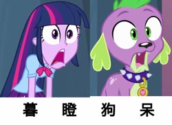 Size: 680x494 | Tagged: safe, derpibooru import, edit, edited screencap, screencap, spike, twilight sparkle, twilight sparkle (alicorn), alicorn, dog, equestria girls, equestria girls (movie), chinese, fun, funny, kanji, meme, spike the dog, stare, translation request