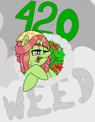 Size: 609x782 | Tagged: safe, artist:bennimarru, derpibooru import, tree hugger, earth pony, 420 blaze it, drugs, maple leaf, marijuana, open mouth, smoke, solo