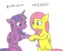 Size: 1141x927 | Tagged: safe, artist:cmara, derpibooru import, fluttershy, twilight sparkle, twilight sparkle (alicorn), alicorn, pegasus, pony, duo, female, mare, traditional art