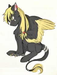 Size: 2605x3460 | Tagged: safe, artist:swaybat, derpibooru import, oc, oc only, hippogriff, pony, hippogriff oc, long hair, male, simple background, solo, white background