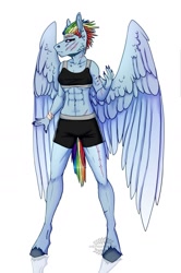 Size: 1024x1545 | Tagged: safe, alternate version, artist:heroin-burn, derpibooru import, rainbow dash, anthro, unguligrade anthro, clothes, ear piercing, female, piercing, scar, shorts, simple background, solo, sports bra, sports shorts, white background