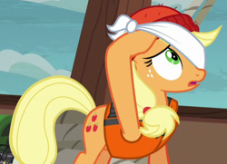 Size: 488x353 | Tagged: safe, derpibooru import, screencap, applejack, earth pony, pony, ppov, blindfold, cropped, female, hat, mare, solo