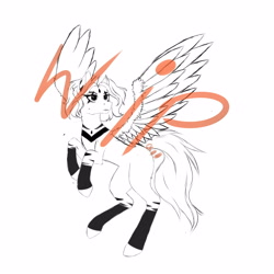 Size: 4000x4000 | Tagged: safe, derpibooru import, oc, oc only, fly, insect, pegasus, pony, zebra, artist r.o.a.h., female, flying, oc estherspell, pegasus oc, sky, solo, spread wings, wings, wip, zebra oc, zebrasus