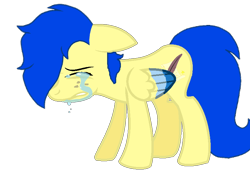 Size: 852x636 | Tagged: safe, artist:assistantaiding, derpibooru import, oc, oc only, oc:aiding assistant, pegasus, pony, crying, photo, simple background, solo, transparent background