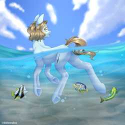 Size: 2000x2000 | Tagged: safe, artist:ohhoneybee, derpibooru import, oc, oc:mei mei, earth pony, fish, pony, female, mare, solo, water