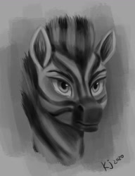 Size: 1000x1300 | Tagged: safe, artist:tauts05, derpibooru import, oc, oc:tsekani, zebra, black and white, bust, grayscale, monochrome, portrait, simple background, solo, zebra oc