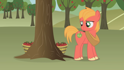 Size: 1246x701 | Tagged: safe, artist:agrol, derpibooru import, big macintosh, earth pony, pony, apple, apple tree, colt, colt big macintosh, cute, food, horse collar, i can't believe it's not hasbro studios, macabetes, male, sweet apple acres, tree, when you're a filly, younger, youtube link