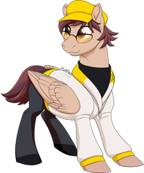 Size: 1076x1294 | Tagged: safe, artist:mythpony, derpibooru import, oc, pegasus, pony, clothes, jacket, male, pants, simple background, solo, stallion, sunglasses, transparent background