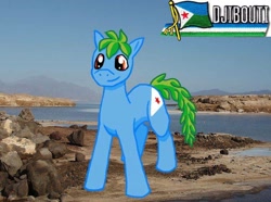 Size: 800x596 | Tagged: safe, artist:djibouti soleil, derpibooru import, oc, pony, djibouti, nation ponies, ponified, solo