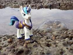 Size: 4128x3096 | Tagged: safe, artist:dingopatagonico, derpibooru import, shining armor, jellyfish, pony, unicorn, beach, guardians of harmony, irl, photo, solo, toy