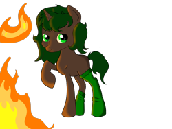 Size: 4600x3450 | Tagged: safe, artist:dumbwoofer, oc, oc:pine shine, pony, unicorn, clothes, female, fire, mare, socks, solo, this is fine