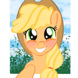 Size: 1080x1080 | Tagged: safe, alternate version, artist:malmela.kolresh, derpibooru import, applejack, earth pony, pony, bust, eyelashes, female, grin, hat, mare, smiling, solo