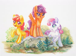 Size: 1600x1178 | Tagged: safe, artist:maytee, derpibooru import, apple bloom, scootaloo, sweetie belle, earth pony, pegasus, pony, unicorn, colored pencil drawing, cutie mark crusaders, female, filly, traditional art, trio