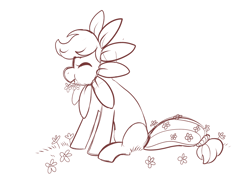 Size: 1600x1200 | Tagged: safe, anonymous artist, derpibooru import, applejack, earth pony, pony, /mlp/, drawthread, eating, eating flower, flower, flower costume, monochrome, simple background, sketch, white background