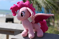 Size: 5184x3456 | Tagged: safe, derpibooru import, pinkie pie, bat pony, earth pony, pony, bat ponified, beach, pinkiebat, race swap, solo