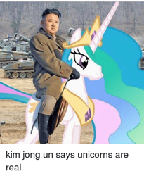 Size: 500x610 | Tagged: safe, derpibooru import, edit, princess celestia, alicorn, human, humans riding ponies, kim jong-un, riding, riding on back, shitposting, wat