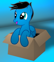 Size: 5826x6600 | Tagged: safe, artist:agkandphotomaker2000, derpibooru import, oc, oc:pony video maker, pegasus, pony, box, cute, cute pegasus is cute, ocbetes, pony in a box, show accurate, simple background, smiling