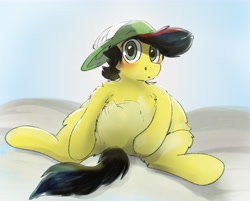 Size: 6964x5600 | Tagged: safe, artist:fiyawerks, derpibooru import, oc, oc only, oc:fiya, earth pony, pony, blushing, chest fluff, chubby, cute, earth pony oc, fluffy, hat, looking at you, male, sitting, solo, stallion