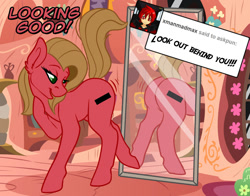 Size: 1083x847 | Tagged: safe, artist:stickerheart, derpibooru import, oc, oc:pun, earth pony, pony, ask, ask pun, butt, mirror, plot, solo