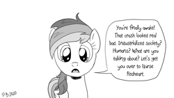Size: 1200x675 | Tagged: safe, artist:pony-berserker, derpibooru import, rainbow dash, pegasus, pony, pony-berserker's twitter sketches, black and white, dialogue, female, grayscale, mare, meme, monochrome, ponified meme, simple background, solo, speech bubble, white background