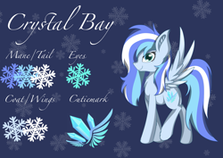 Size: 2387x1694 | Tagged: safe, artist:crystalbay, artist:crystalbay25, derpibooru import, oc, oc only, oc:crystal bay, pegasus, blue, clothes, coat, color, crystal, pegasus oc, reference sheet, snow, snowflake, solo, wings