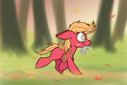 Size: 1000x666 | Tagged: safe, artist:heir-of-rick, part of a series, big macintosh, earth pony, pony, daily apple pony, backpack, leaves, male, mouth hold, running, smiling, solo, stallion, younger