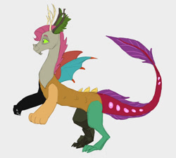 Size: 1087x974 | Tagged: safe, artist:carnifex, oc, oc only, draconequus, hybrid, interspecies offspring, offspring, parent:discord, parent:fluttershy, parents:discoshy, simple background, unnamed oc