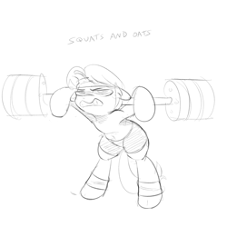 Size: 1000x1000 | Tagged: safe, artist:khorme, oc, oc only, oc:ultramare, belly button, bike shorts, clothes, do you even lift, gritted teeth, monochrome, sketch, solo, sweat, sweatband, weight lifting, weights, workout