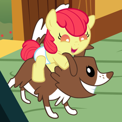 Size: 1080x1080 | Tagged: safe, artist:beavernator, apple bloom, winona, pony, baby, baby pony, diaper, foal, puppy, riding