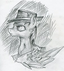 Size: 416x458 | Tagged: safe, artist:foxda, oc, oc only, oc:calamity, pegasus, pony, fallout equestria, black and white, bust, dashite, fanfic, fanfic art, grayscale, hat, hooves, male, monochrome, portrait, sketch, solo, spread wings, stallion, traditional art, wings