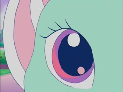 Size: 640x480 | Tagged: safe, screencap, minty, earth pony, pony, a charming birthday, g3, close-up, eye, female, mare, solo