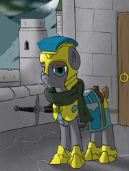 Size: 1050x1400 | Tagged: safe, artist:php49, derpibooru exclusive, armor, castle, door, fluffy, frown, glare, goatee, looking at you, mountain, night, royal guard, solo, sword, weapon