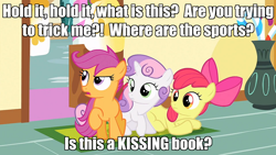 Size: 800x450 | Tagged: safe, apple bloom, scootaloo, sweetie belle, image macro, the princess bride