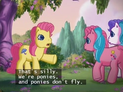 Size: 640x480 | Tagged: safe, heart bright, star flight, a very pony place, g3, two for the sky, irony, merriweather, subtitles