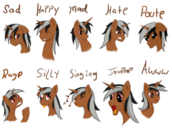 Size: 1600x1200 | Tagged: safe, artist:aqwara, oc, oc only, oc:star sparkler, expressions, reference sheet