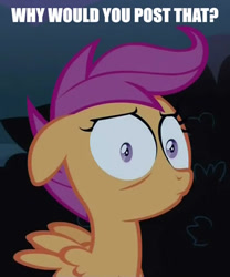 Size: 369x444 | Tagged: safe, scootaloo, pony, sleepless in ponyville, reaction image, solo, why would you post that