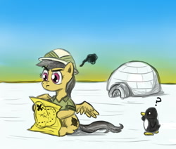 Size: 850x721 | Tagged: safe, artist:fadri, daring do, pegasus, penguin, pony, igloo, lost, map, solo