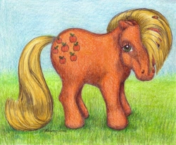 Size: 800x658 | Tagged: safe, artist:bluepegasus, applejack (g1), g1, grass, solo, standing, traditional art