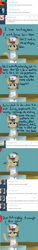 Size: 465x3030 | Tagged: safe, artist:lilliesinthegarden, doctor whooves, ask, comic, crossdressing, nurse, nurse turner, tumblr