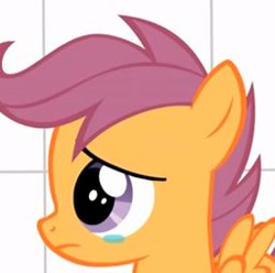 Size: 256x254 | Tagged: safe, scootaloo, crying, lowres, sad, scootasad, solo