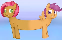 Size: 1000x642 | Tagged: safe, edit, babs seed, scootaloo, babscoot, babscoot (fusion), catdog, cutie mark crusaders, freckles, fusion, grin, this isn't even my final form, together forever, wat, we have become one, what has science done