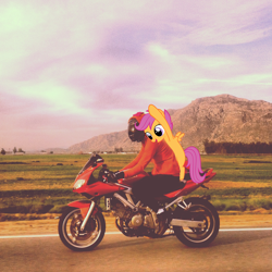 Size: 1440x1440 | Tagged: safe, edit, scootaloo, human, cosplay, irl, irl human, motorcycle, photo, photoshop, ponies in real life