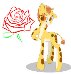 Size: 3590x3733 | Tagged: safe, artist:owlvortex, oc, oc only, giraffe, askyoungzecora