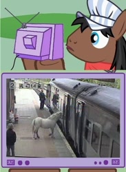 Size: 440x600 | Tagged: safe, derpibooru import, full steam, promontory, exploitable meme, irl, meme, obligatory pony, photo, real pony, train, tv meme